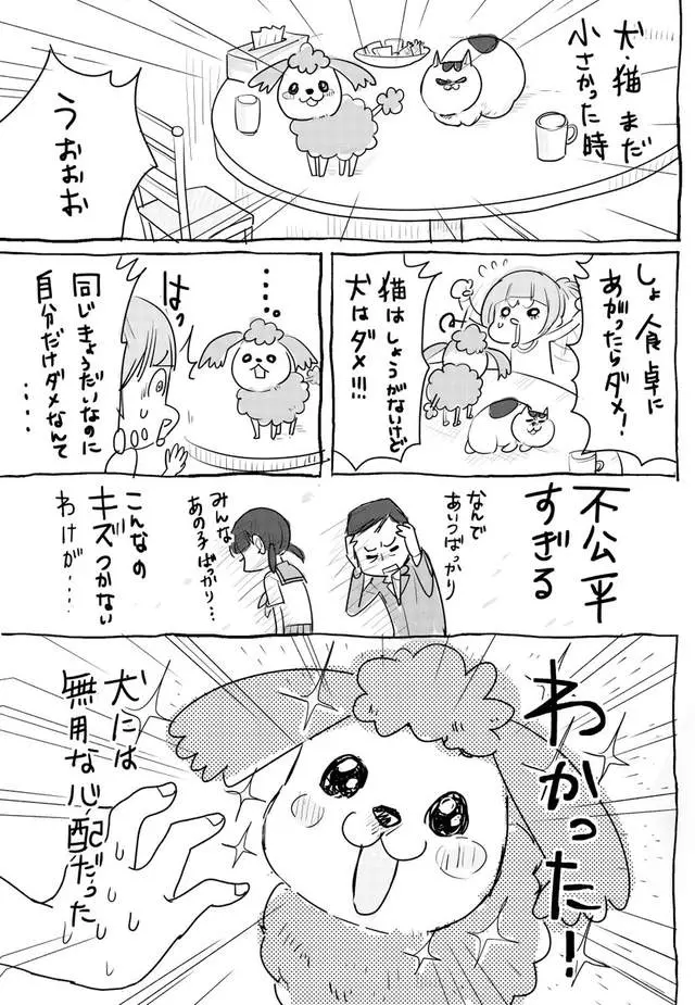 網路漫畫中肯畫出「養貓和養狗最大差別」,超不公平待遇讓貓飼主都想躲到棉被裡哭哭了…