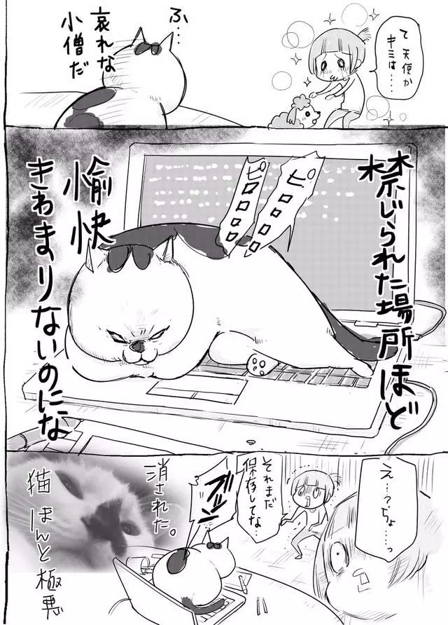 網路漫畫中肯畫出「養貓和養狗最大差別」,超不公平待遇讓貓飼主都想躲到棉被裡哭哭了…