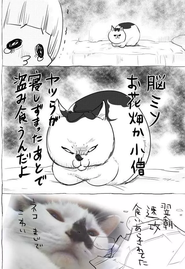 網路漫畫中肯畫出「養貓和養狗最大差別」,超不公平待遇讓貓飼主都想躲到棉被裡哭哭了…