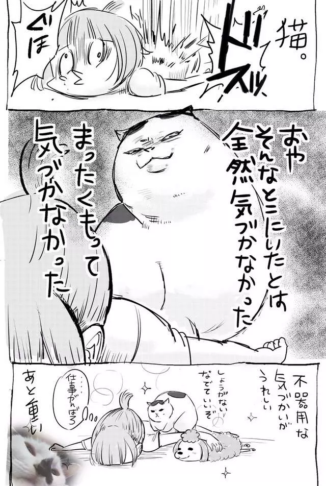 網路漫畫中肯畫出「養貓和養狗最大差別」,超不公平待遇讓貓飼主都想躲到棉被裡哭哭了…