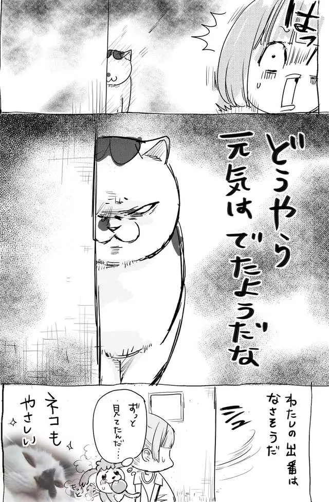 網路漫畫中肯畫出「養貓和養狗最大差別」,超不公平待遇讓貓飼主都想躲到棉被裡哭哭了…