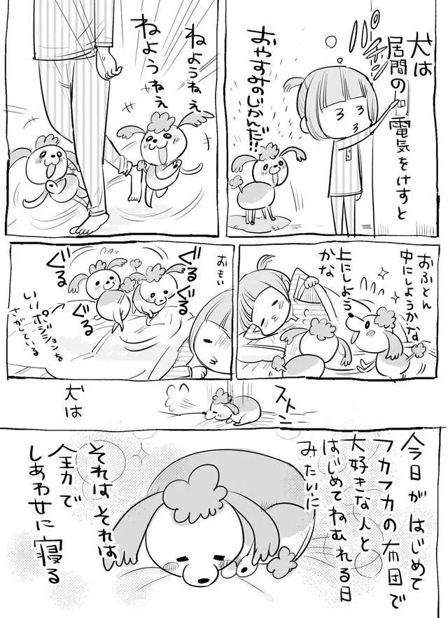 網路漫畫中肯畫出「養貓和養狗最大差別」,超不公平待遇讓貓飼主都想躲到棉被裡哭哭了…
