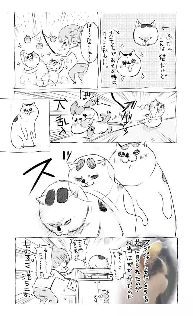 網路漫畫中肯畫出「養貓和養狗最大差別」,超不公平待遇讓貓飼主都想躲到棉被裡哭哭了…