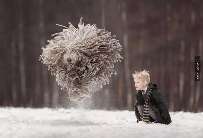 長得和拖把超像的狗狗在雪地奔跑,它和小主人玩樂的畫面直接就治癒大家的心啊!