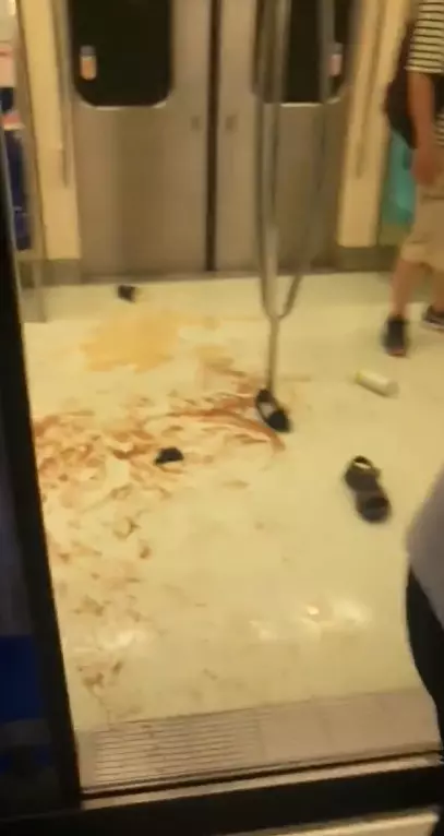 史上首例老鼠闖北捷 700人潰逃報警求救. 目擊乘客還原:老鼠只在2個車廂徘徊