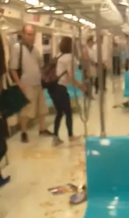 史上首例老鼠闖北捷 700人潰逃報警求救. 目擊乘客還原:老鼠只在2個車廂徘徊