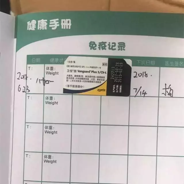撿到一隻流浪古牧,本以為滿足了夢想
