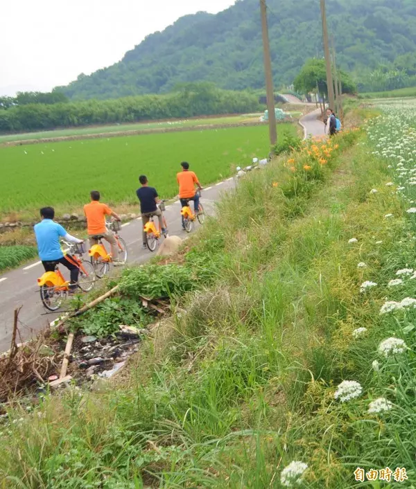 大溪假日易塞車 地方盼YouBike拓點分流人潮