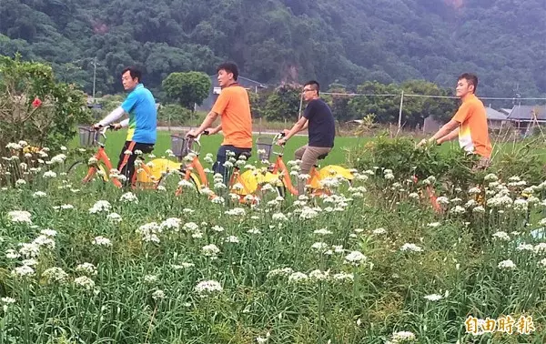 大溪假日易塞車 地方盼YouBike拓點分流人潮