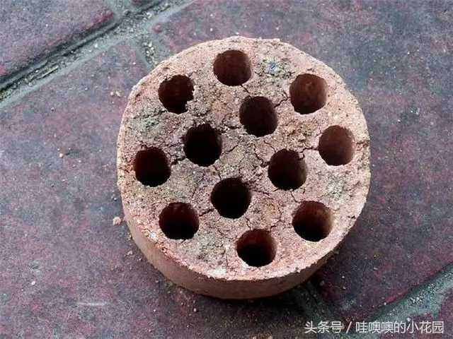 盆栽茉莉花,這樣配土,再加1料,茉莉對味,長得歡!