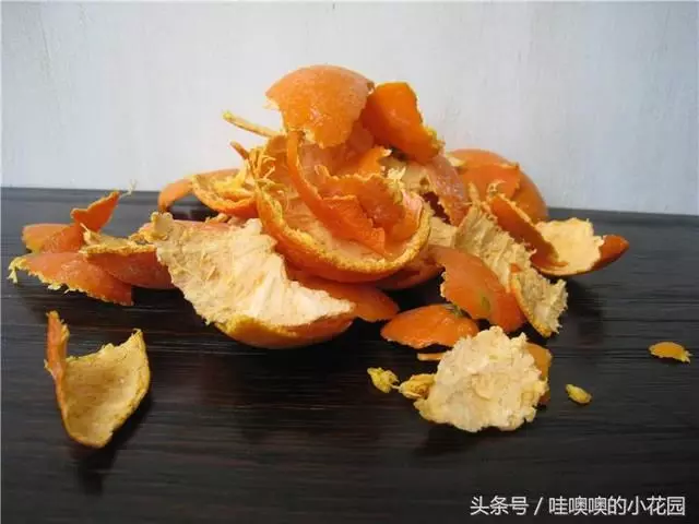 盆栽茉莉花,這樣配土,再加1料,茉莉對味,長得歡!