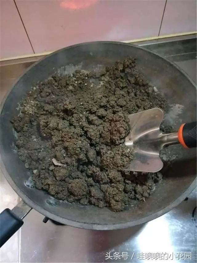 盆栽茉莉花,這樣配土,再加1料,茉莉對味,長得歡!