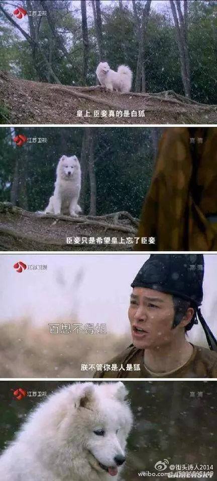 劇組的導演真有才,看過這些鏡頭,才知道我們竟然被騙了好多年!