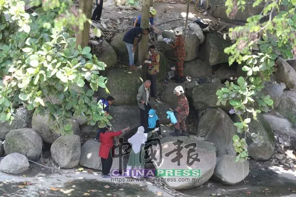 悚!女子遭肢解6塊 分裝2行李箱棄屍