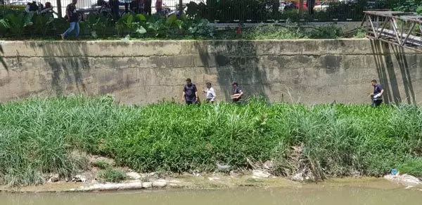 悚!女子遭肢解6塊 分裝2行李箱棄屍