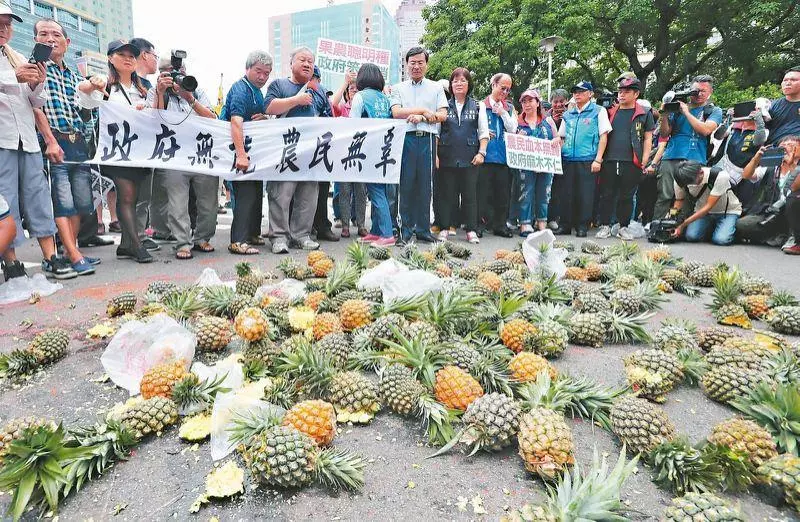官商勾結?果農接二血本無歸...鳳梨50斤買不起一個便當!北上抗議政府無能「只講幹話」
