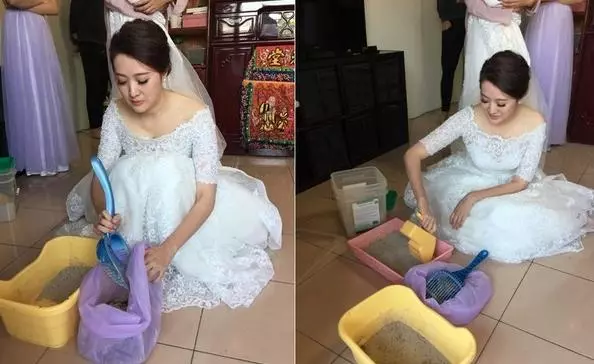 最美的新娘!她出嫁前「在娘家最後一鏟」 跪地穿白紗不忘本份:人家還是貓奴啊~