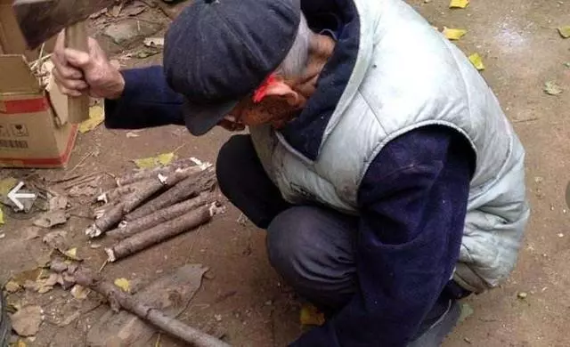 過節跟老公回家看望老人,公婆的舉動讓我忍不住想哭!