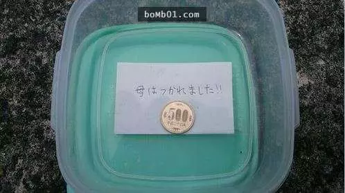 16個當媽媽累倒的時候做出來的傻眼便當…最後一個的肯定是把媽媽氣瘋了!