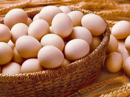雞蛋-早餐之冠,六種做法不重樣,方便且快捷
