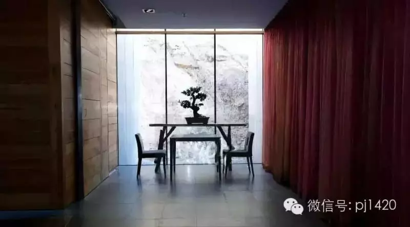 家中有一景,主人必富貴!