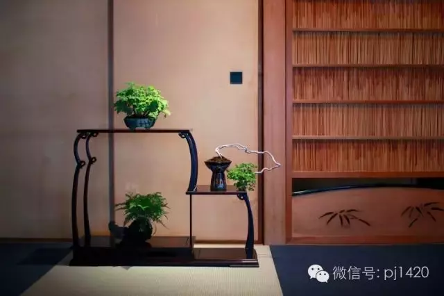 家中有一景,主人必富貴!