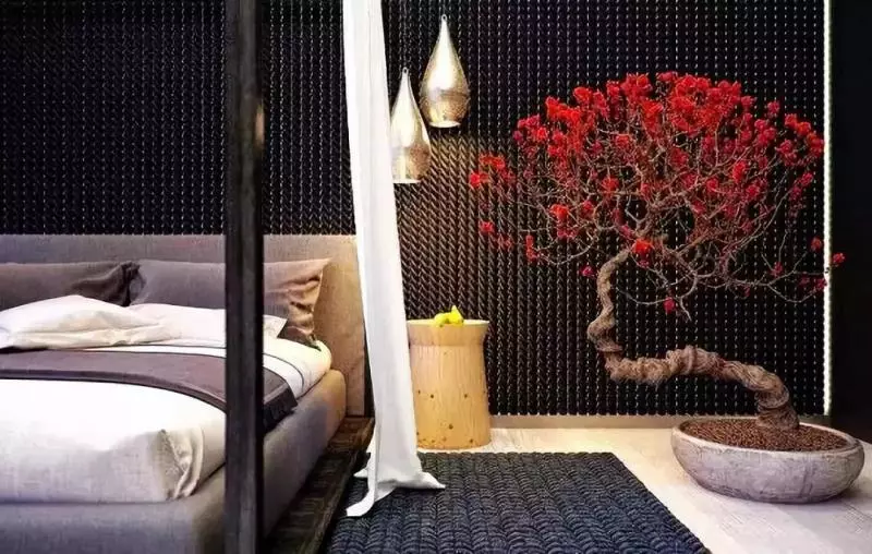 家中有一景,主人必富貴!