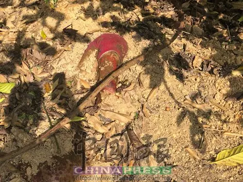 斷背男遭勒斃 埋屍榴槤園