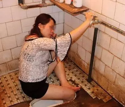 家中馬桶驚見小老鼠! 網友嚇爆:差點坐下去