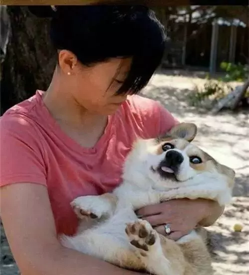 別人家的狗狗好可愛!於是自己也養了一隻,結果