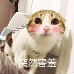 嬴政中單,貂蟬中單,武則天中單,都不如用他中單!