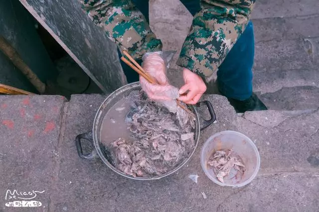 北京好心阿姨喂養流浪貓10年,人稱貓司令,一到開飯貓貓排成一排