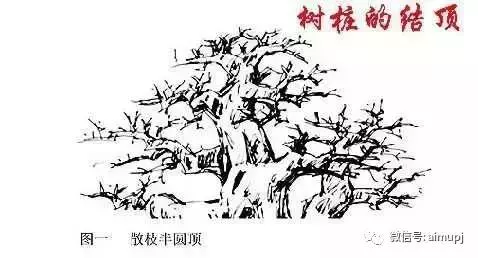大師教你盆景結頂秘訣,盆景收頂不好看的答案在這裏