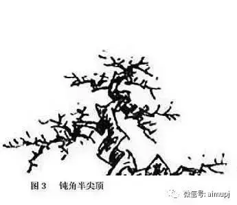 大師教你盆景結頂秘訣,盆景收頂不好看的答案在這裏