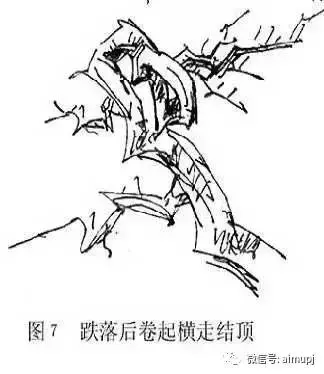 大師教你盆景結頂秘訣,盆景收頂不好看的答案在這裏