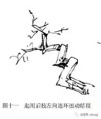 大師教你盆景結頂秘訣,盆景收頂不好看的答案在這裏