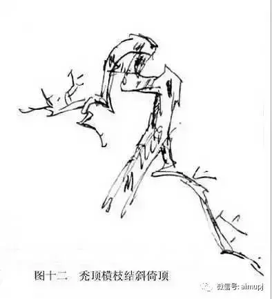 大師教你盆景結頂秘訣,盆景收頂不好看的答案在這裏