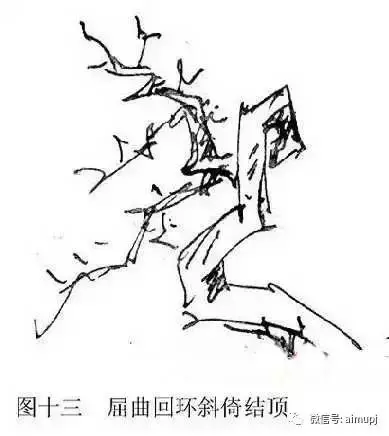 大師教你盆景結頂秘訣,盆景收頂不好看的答案在這裏