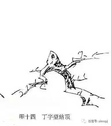 大師教你盆景結頂秘訣,盆景收頂不好看的答案在這裏