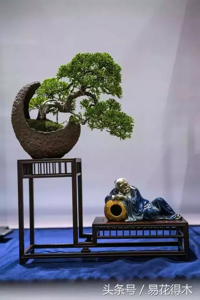 盆景花卉「飛花摘葉」、「脫衣換錦」技法