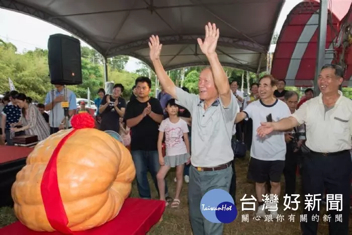 觀音超級大南瓜競賽 568台斤奪冠