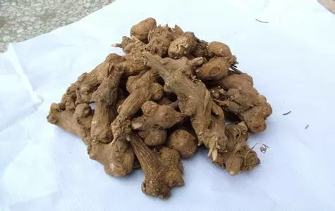 流傳了一千三百多年的秘方,造福無數糖尿病患者!只公開3天,趕緊看!