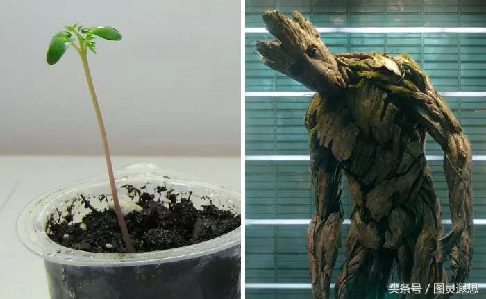 超級英雄小時候長啥樣?蘿莉變御姐,正太變大叔,時間真可怕