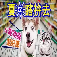 4歲腦癱女踏出第一步 感動百萬網友