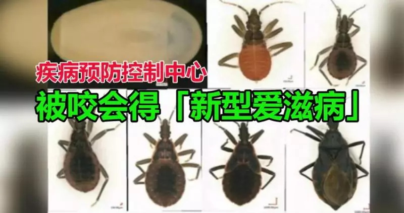 被咬會得「新型愛滋病」! 廣州全城呼籲民眾一起「懸賞捉蟲」