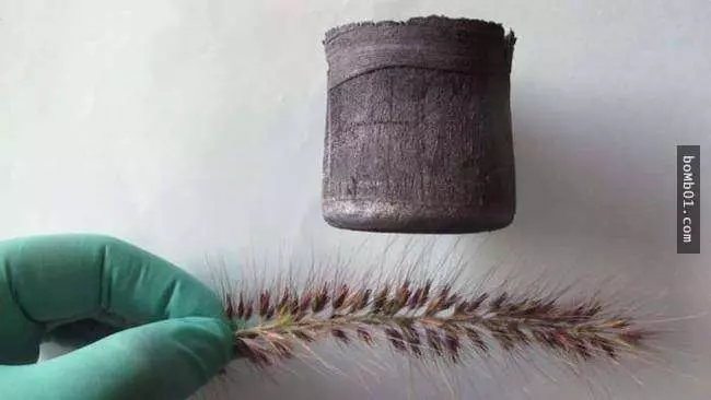 科學家竟然研發出比空氣輕7倍的材料,看起來很不可思議但這確實是真的!
