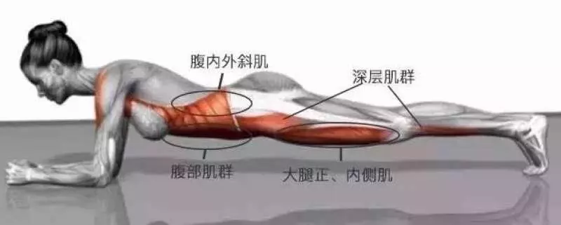好奇嘗試平板支撐一個月 「贅肉消失、驚見馬甲線」連肩頸也不痛了