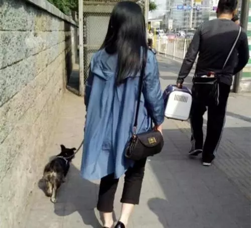 帶小兒子進城看病,大兒子交給婆婆,1年後回家接孩子,我後悔了