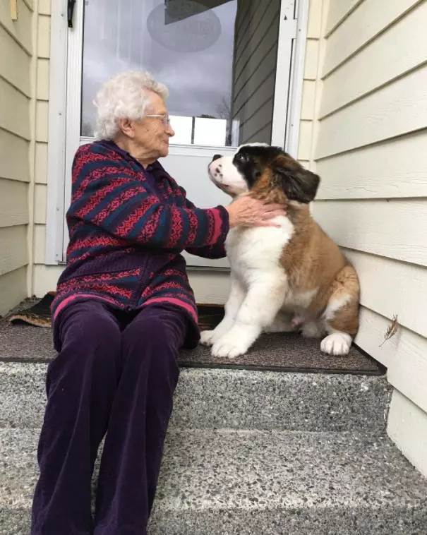 狗狗半路認親93歲獨居奶奶,天天敲門陪伴比孫子還孝順!