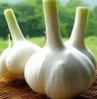 19種超實用的天然「補藥」大集合